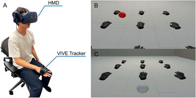 Investigating body perception of multiple virtual hands in synchronized and asynchronized conditions